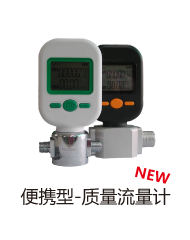 质量气体流量计/质式气体流量计